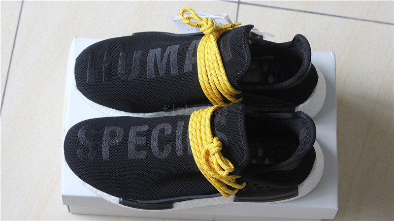 Pharrell X Adidas NMD Human Race Black Species